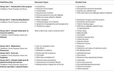 The Quebec Diabetes Empowerment Group Program: Program Description and Considerations Regarding Feasibility and Acceptability of Implementation in Primary Health Care Settings